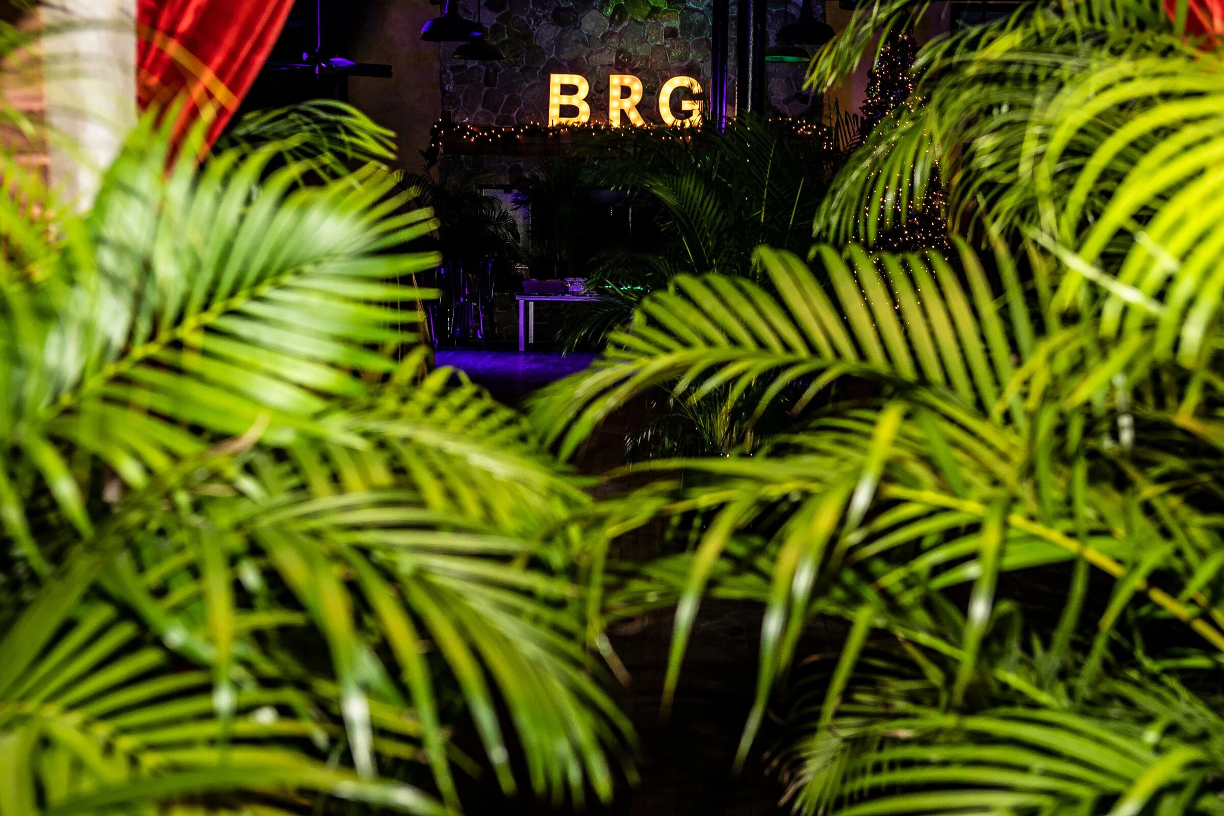 Palms.jpeg