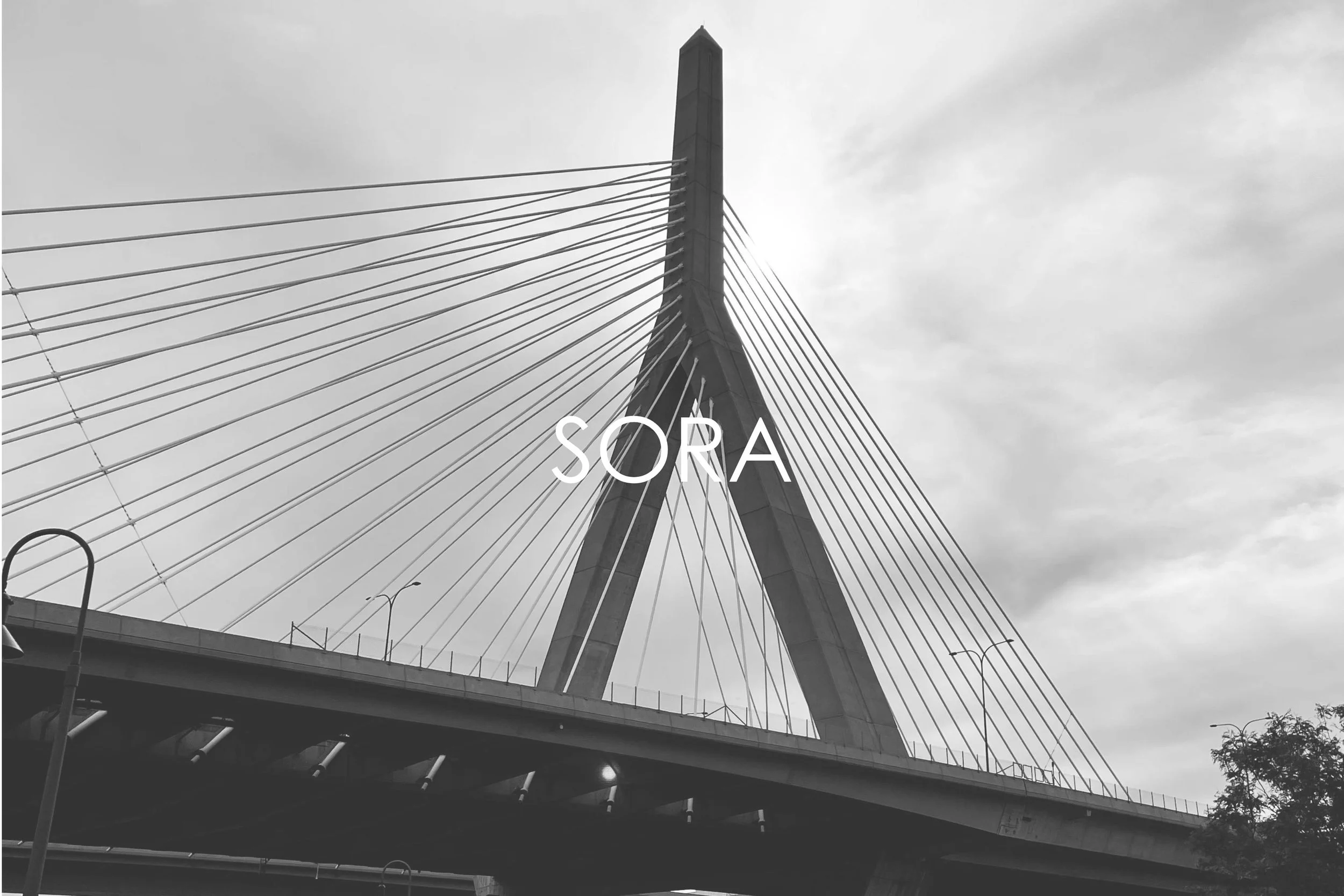 sora.jpg