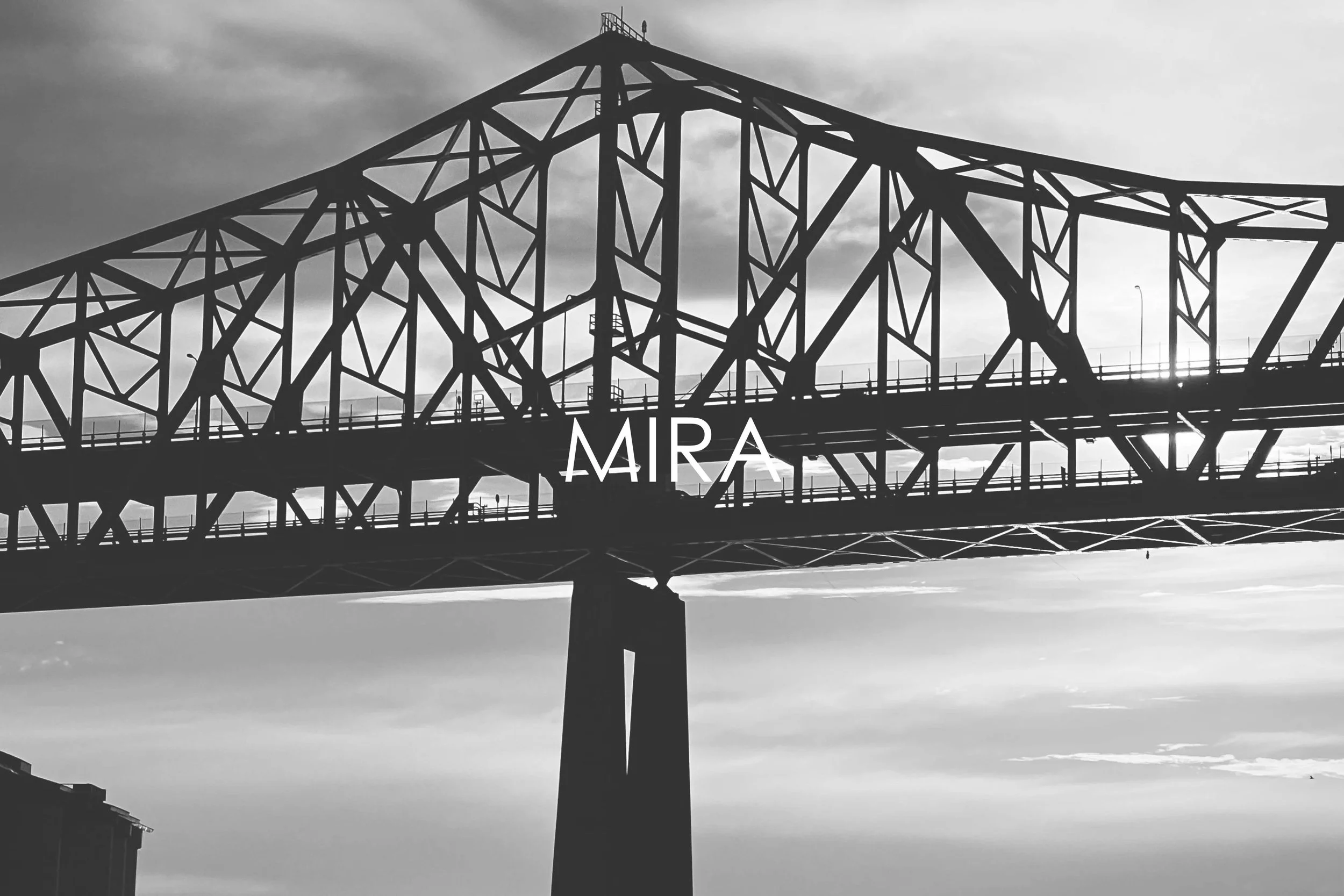 Projects Page 006.jpg