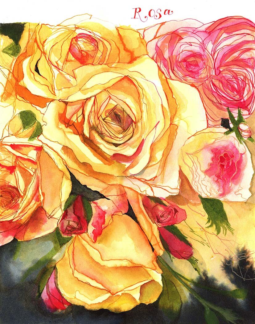 Yellow and Pink Roses