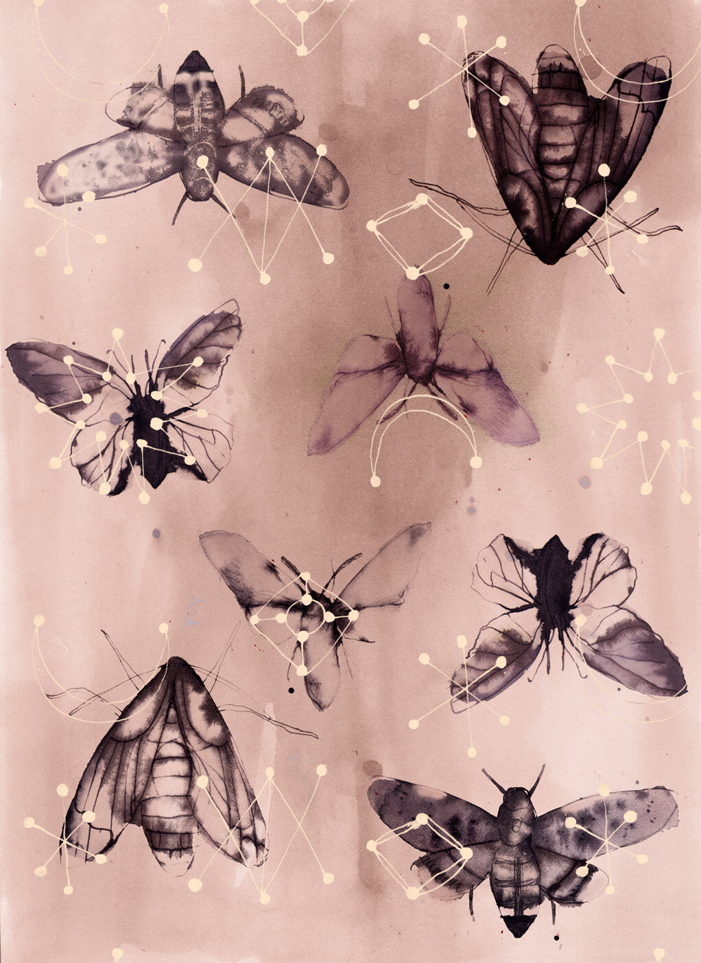 Moth pattern 