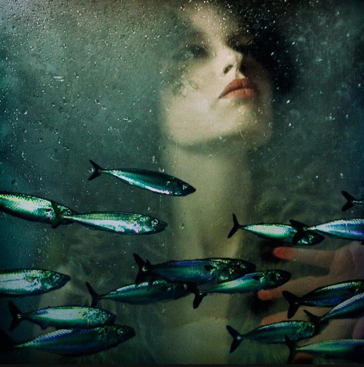 fish-2.jpg