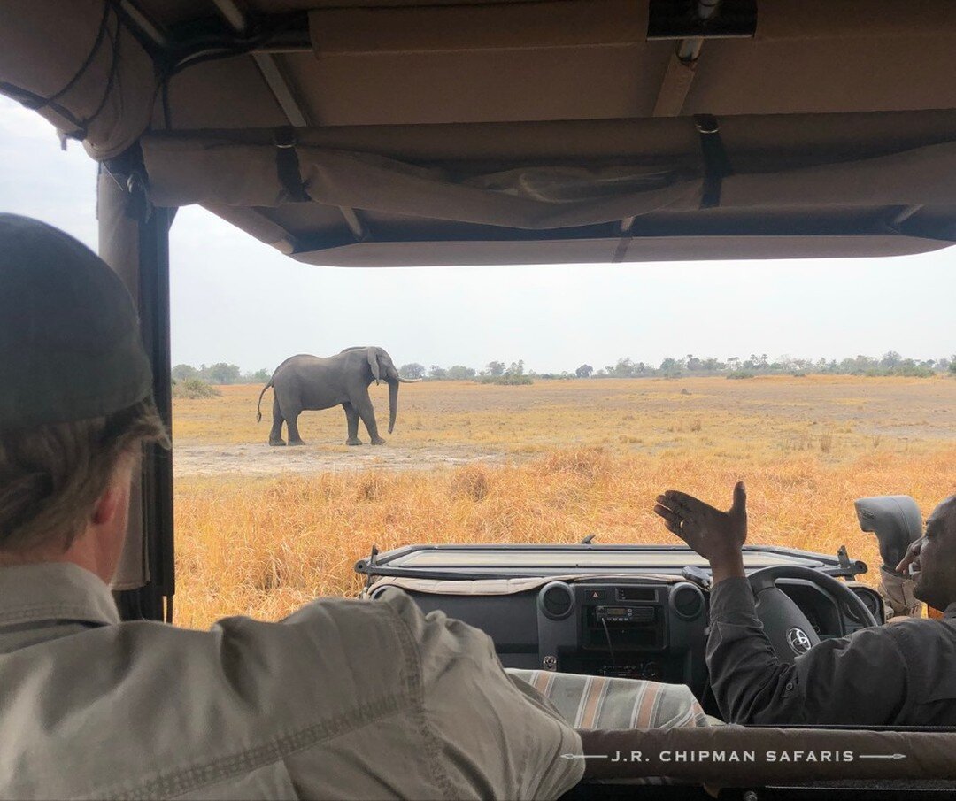 While on an African safari with us, you will experience nature at its best. You will see Africa's wildlife in their natural habitats/national parks. We take great care when we design a safari to consider the best way to see an area. It is a constant 