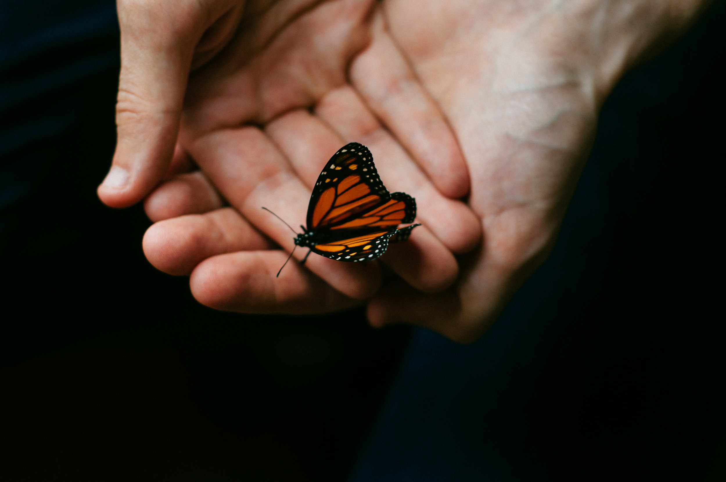 Courtesty Mathias Reed @ Unsplash