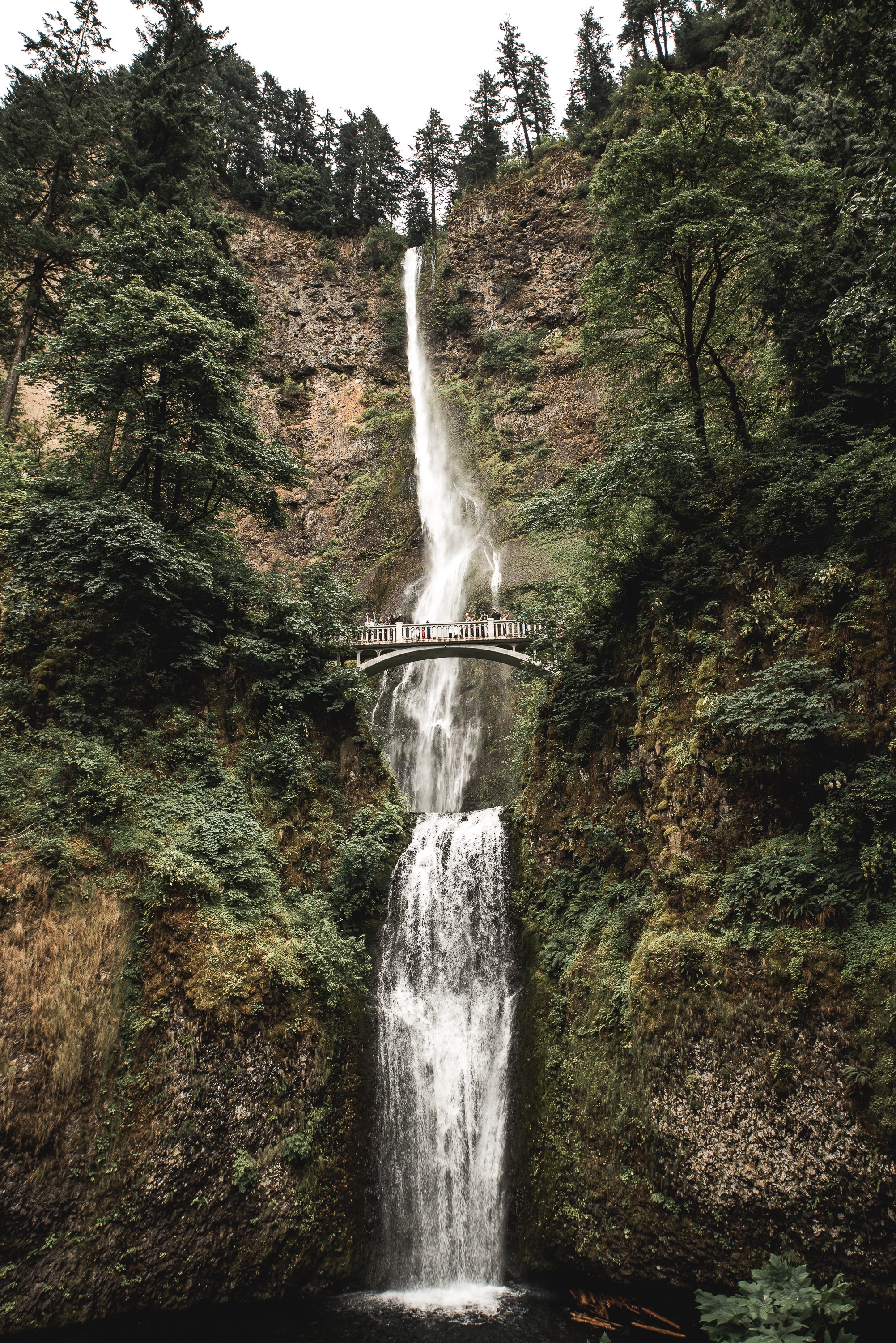 Photo by Caleb Jones on Unsplash