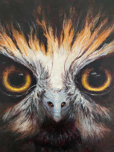 OWLS featured at ARTon62 Gallery!