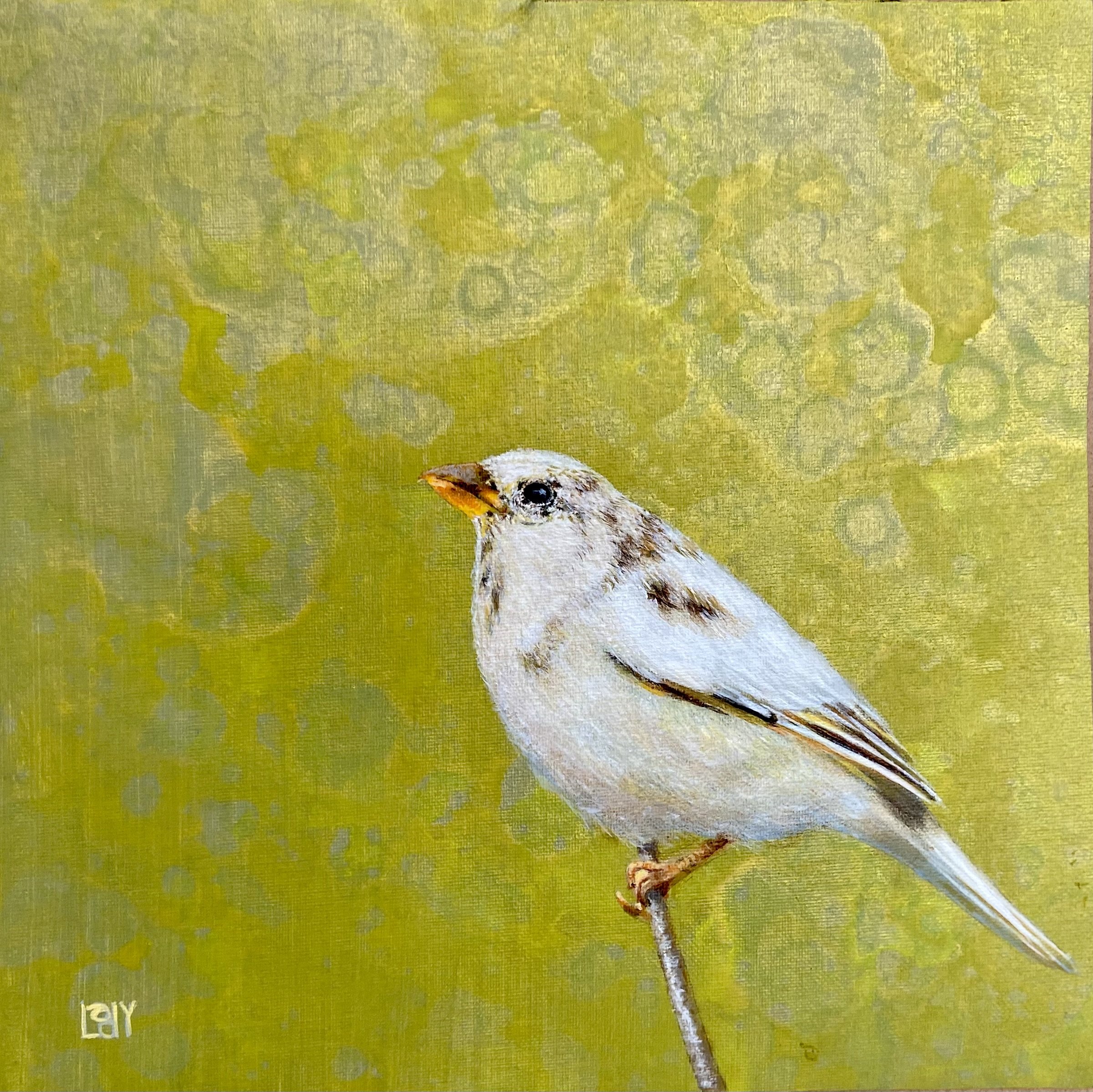 WHITE ROBIN - SOLD