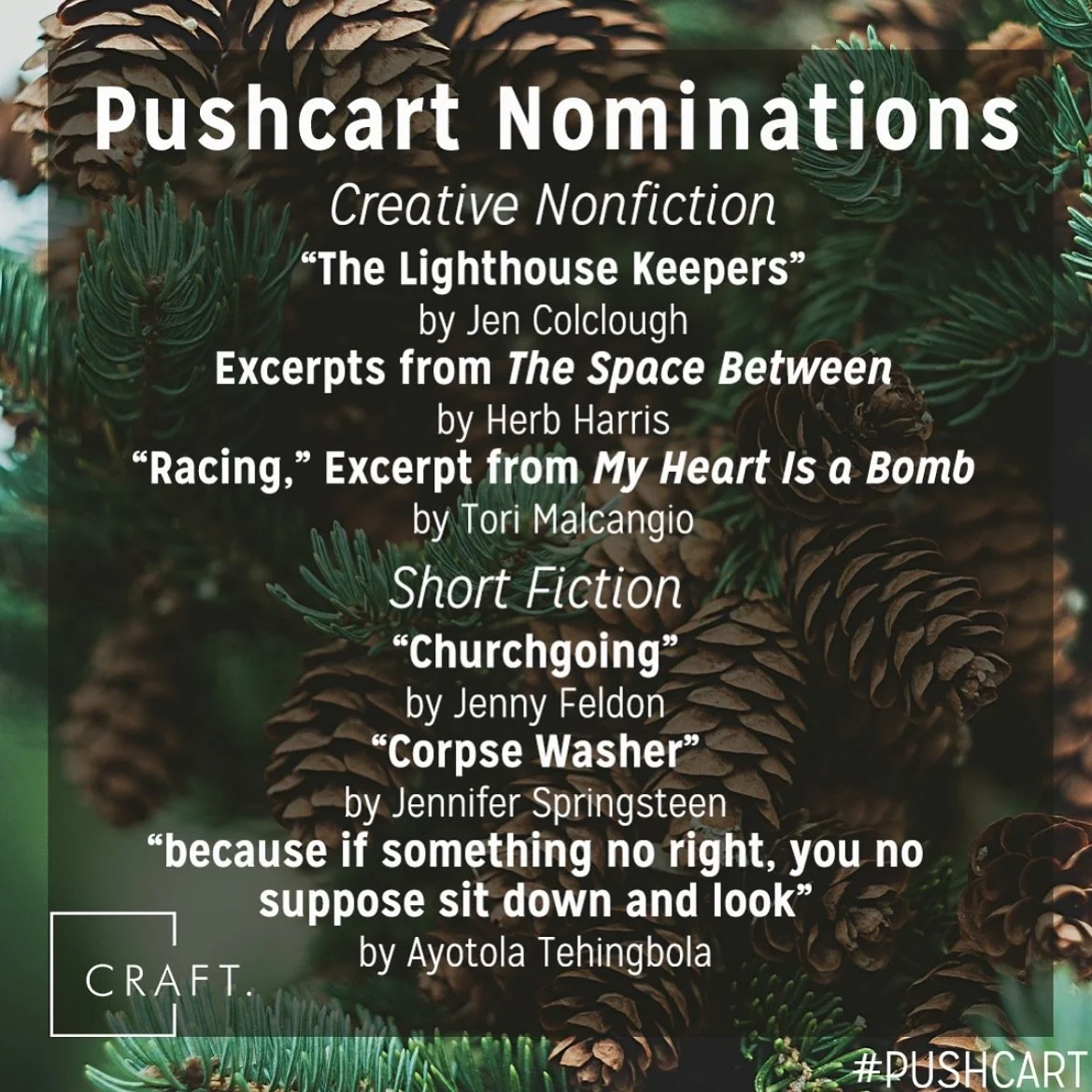 a lifelong devotion to the magic of short stories makes this nomination for the 2025 Pushcart Prize especially meaningful. I&rsquo;m honored and humbled, and deeply grateful to @craftliterary for their steadfast belief in my writing. 

mostly though,