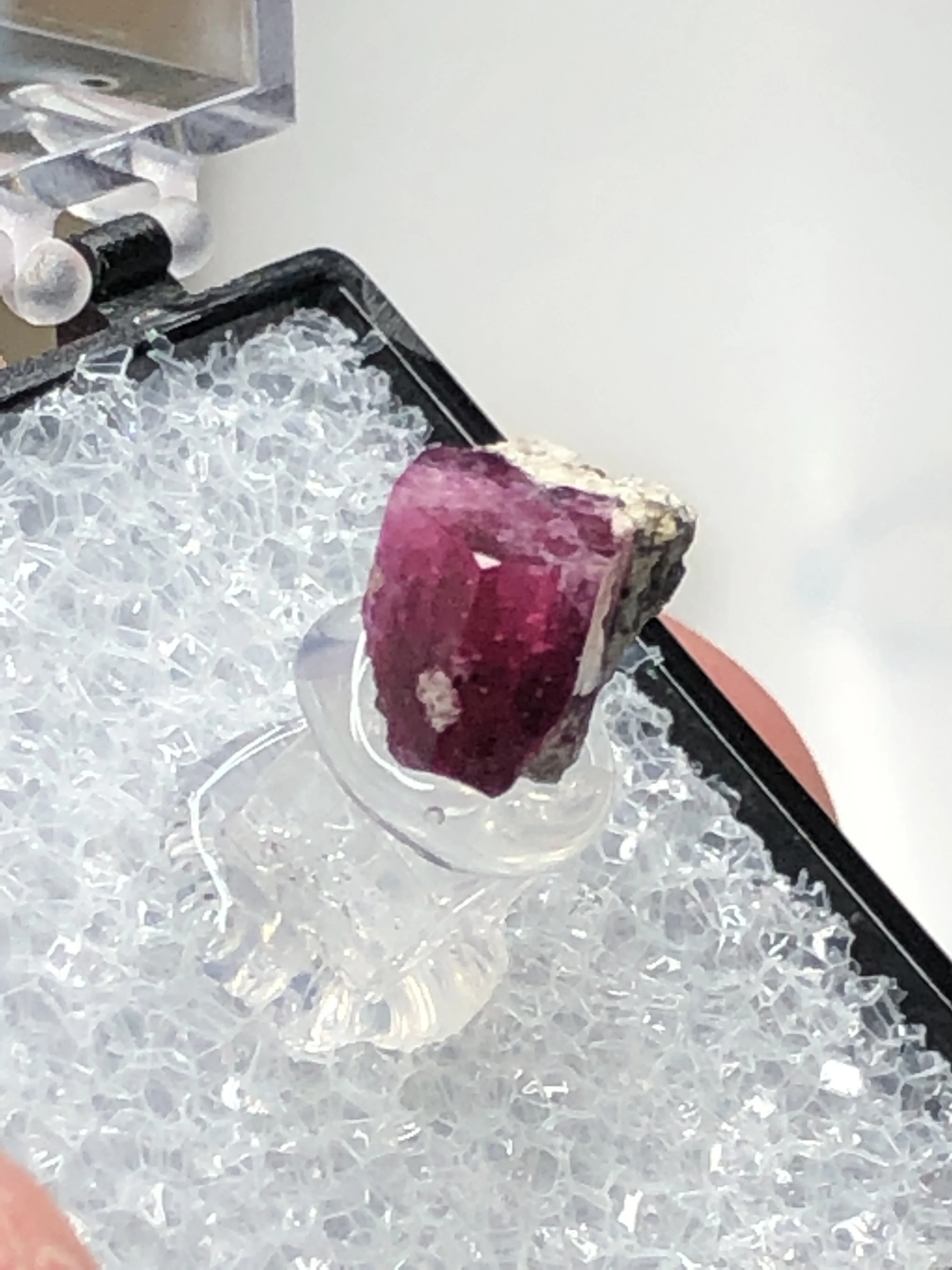 79ED866F-F65C-43CF-8686-CEA77009D8CD