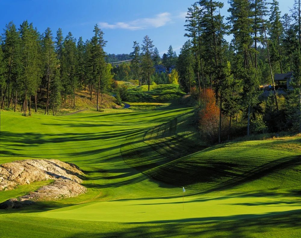 The 2nd Hole