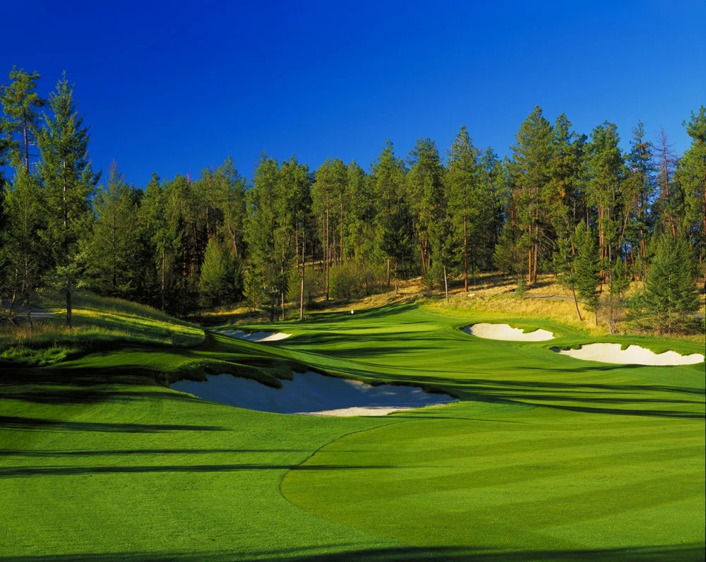 The 7th Hole