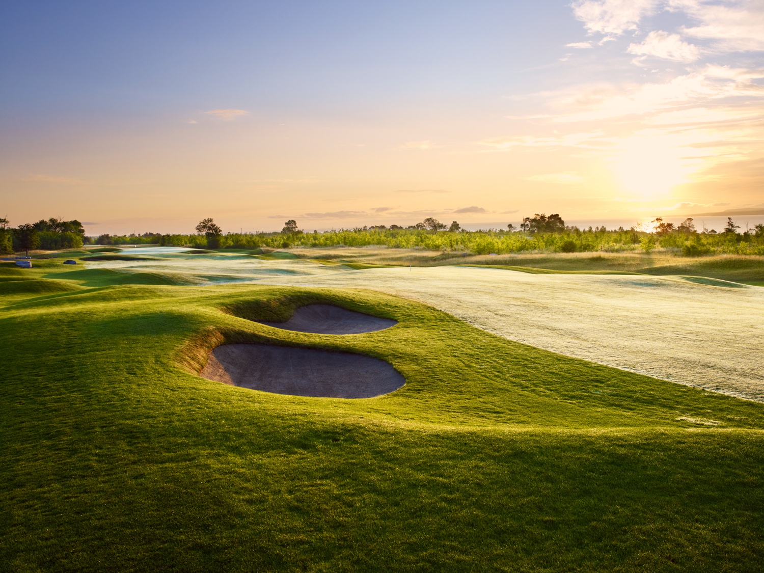The 5th Hole