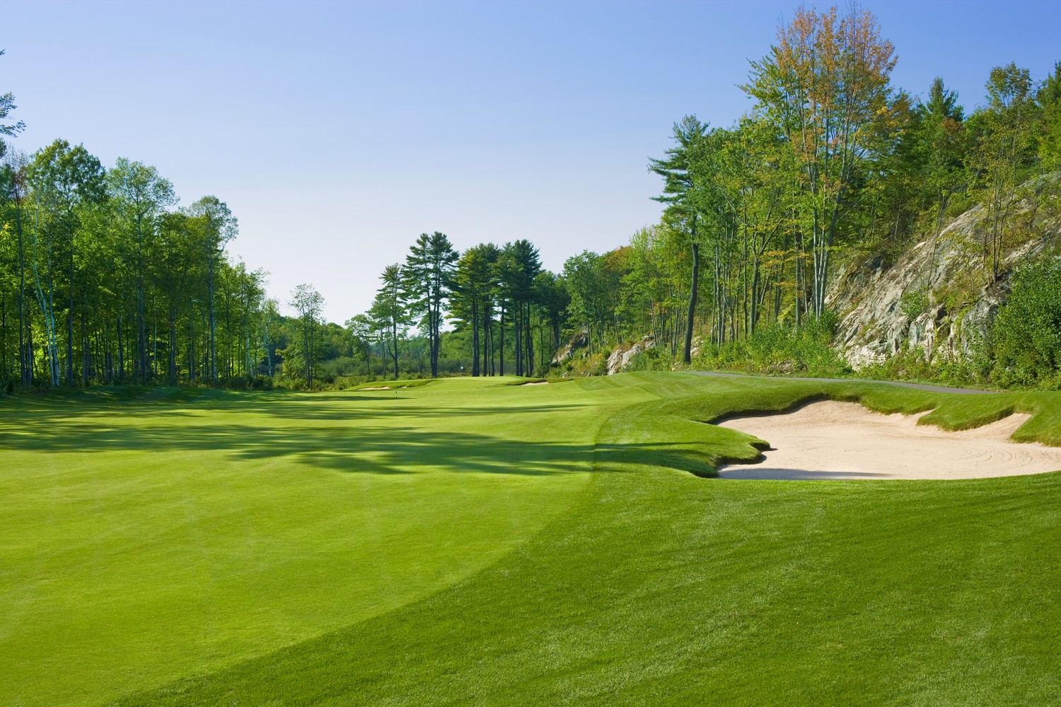 The 5th Hole