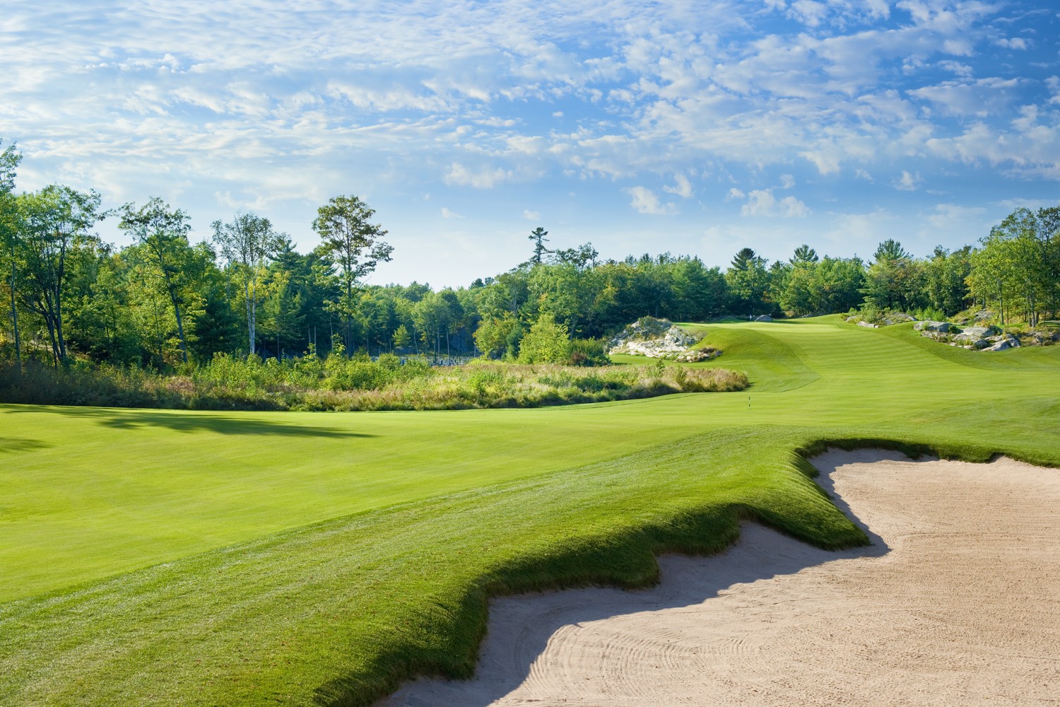 The 7th Hole