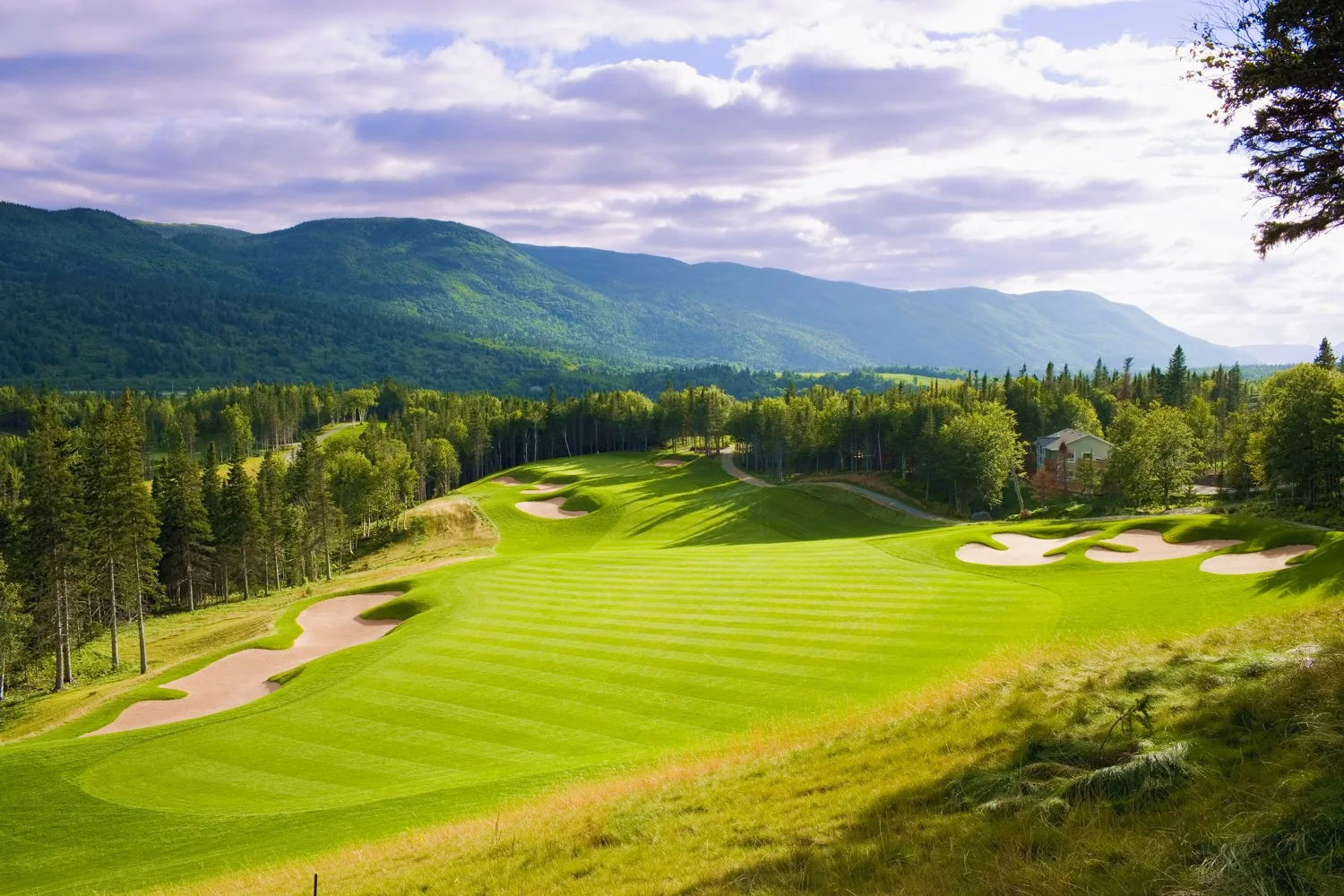 Humber Valley 10th.jpg