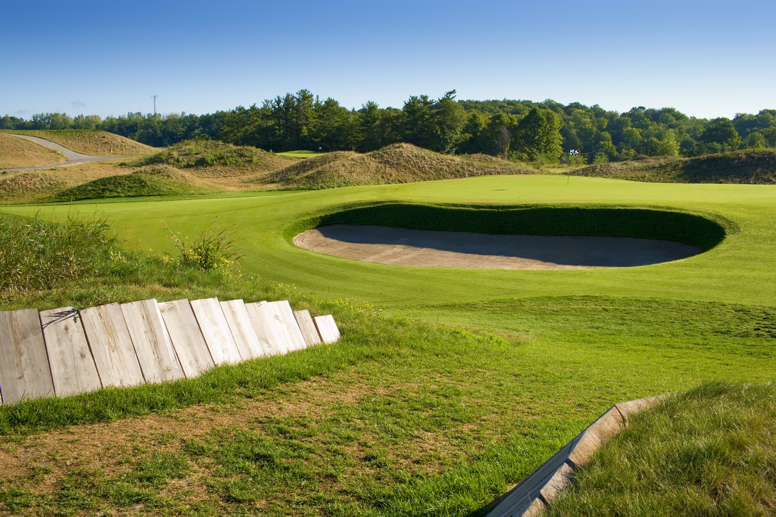 The 8th Hole