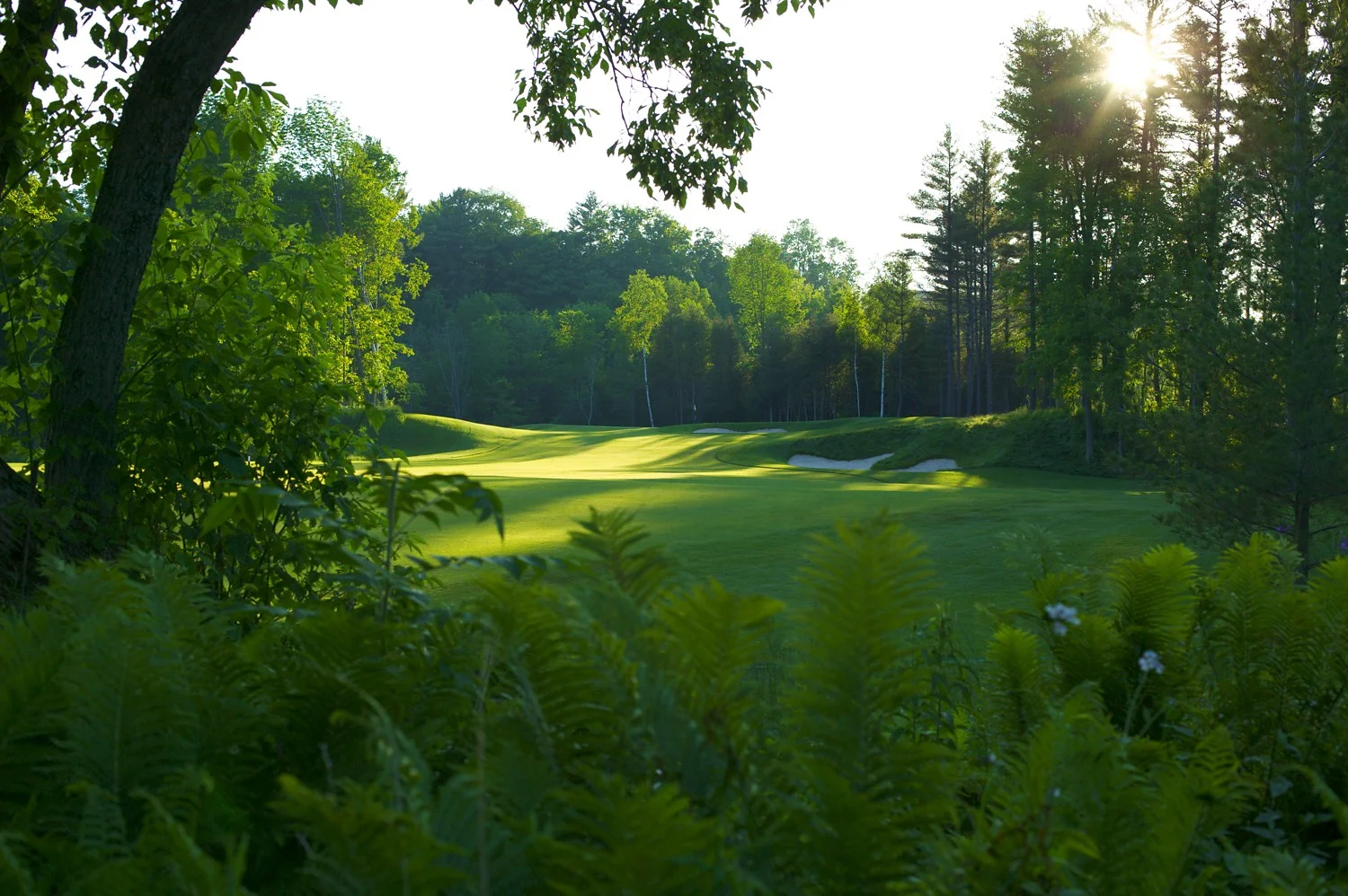 The 5th Hole