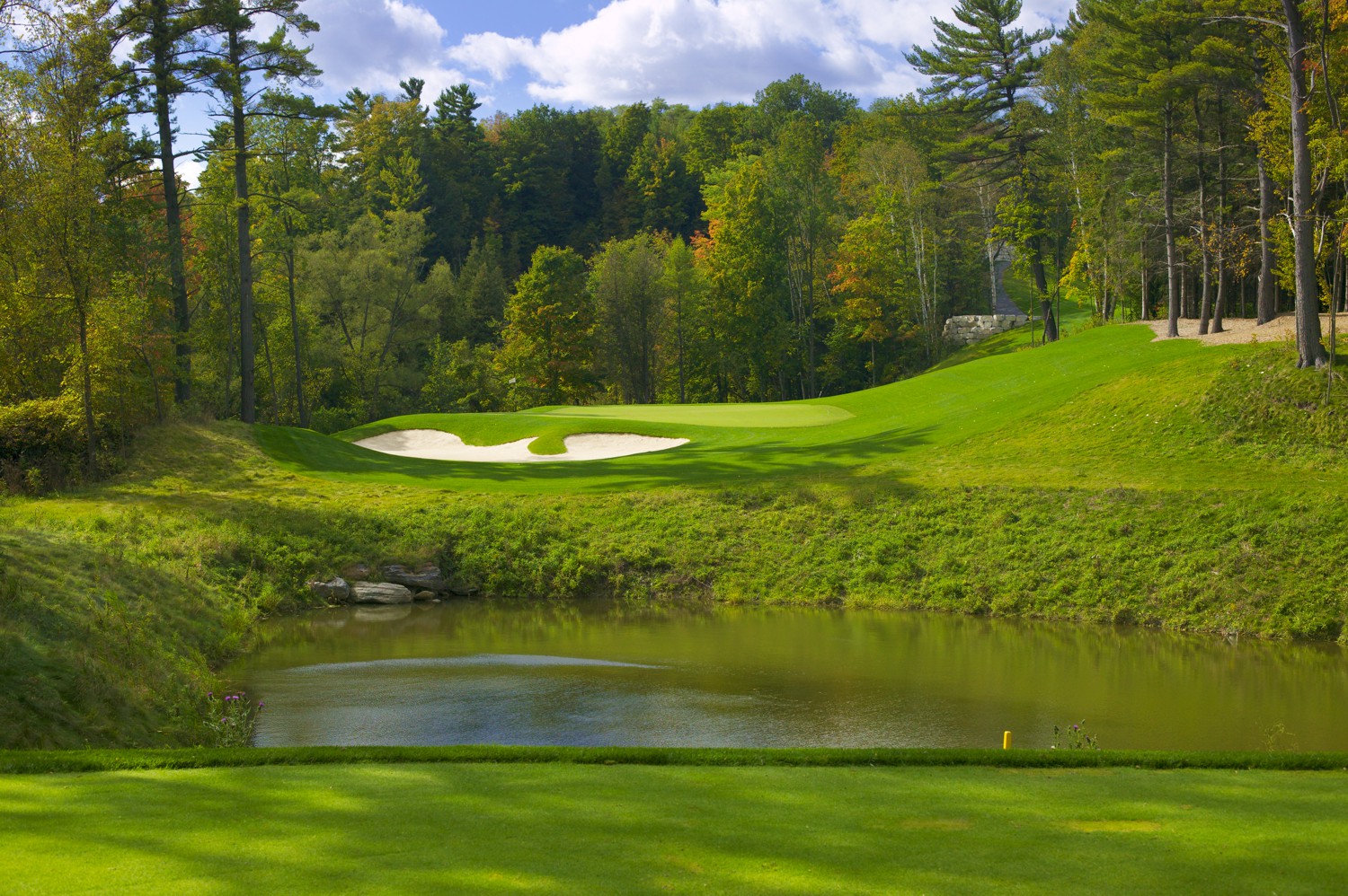 The 8th Hole