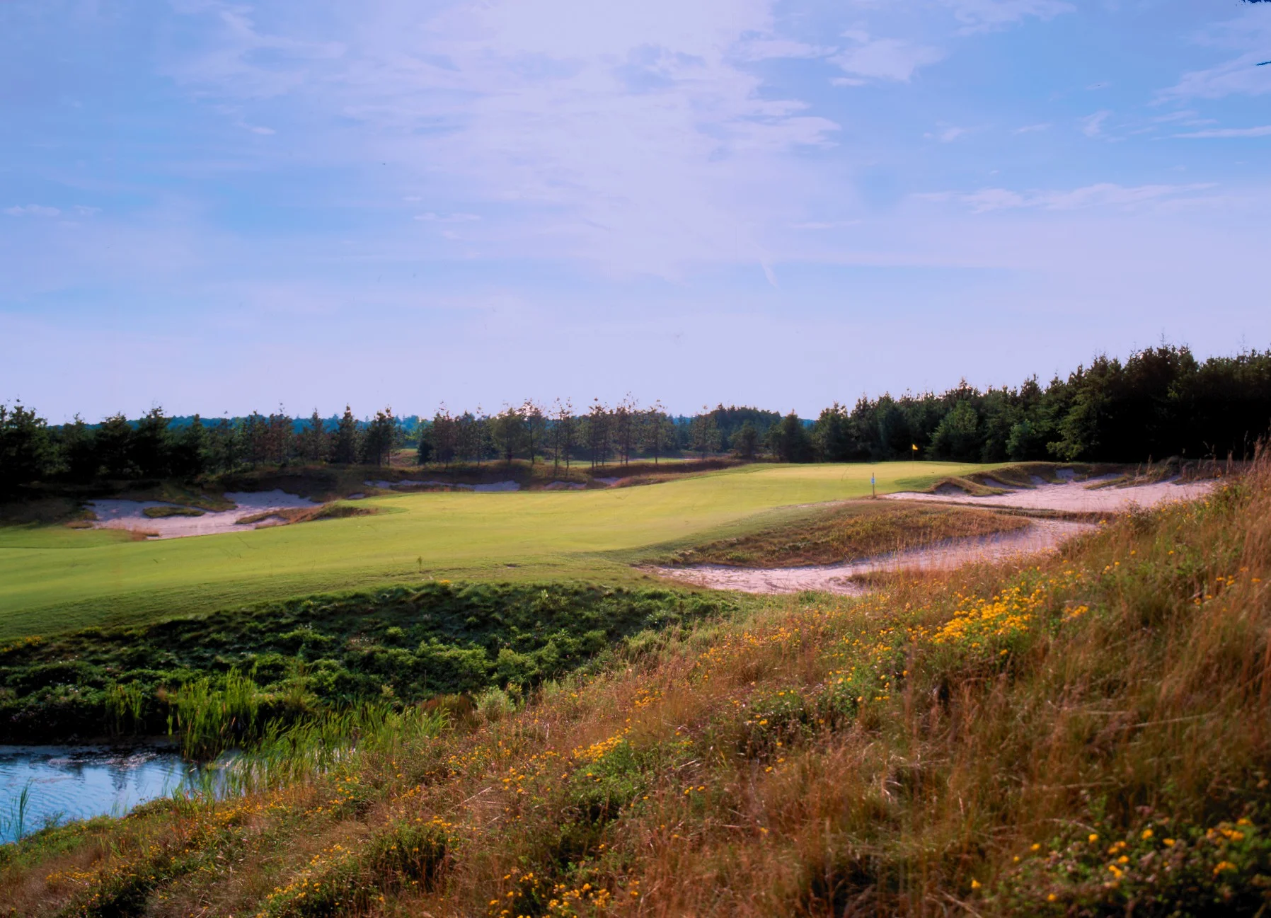 The 12th Hole