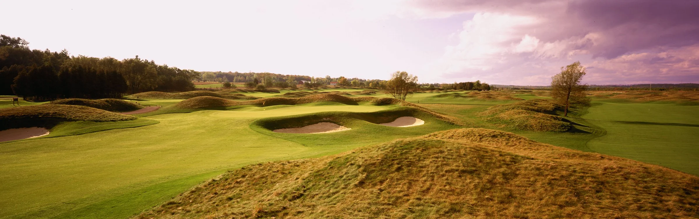 The 5th Hole