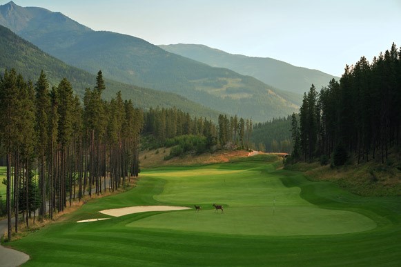 The 8th Hole
