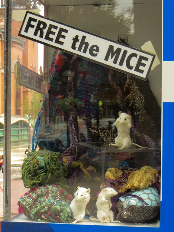 Figure 3: Plight of the Art Mice , Taxidermy mice, hand-woven fiber, 13 x 10 x 10 inches (one of three boxes)