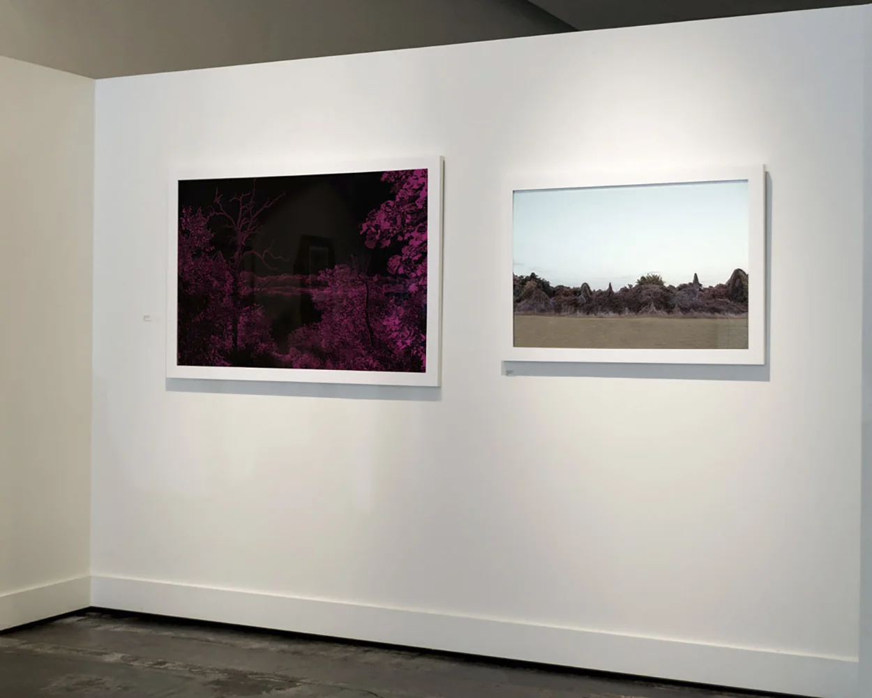 Night Moves (installation view)