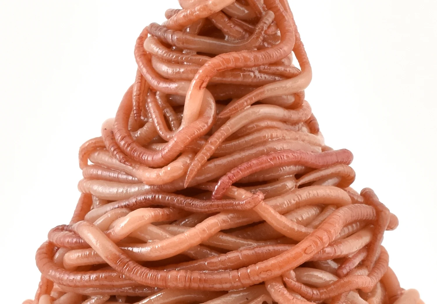 Soft Serve (detail)