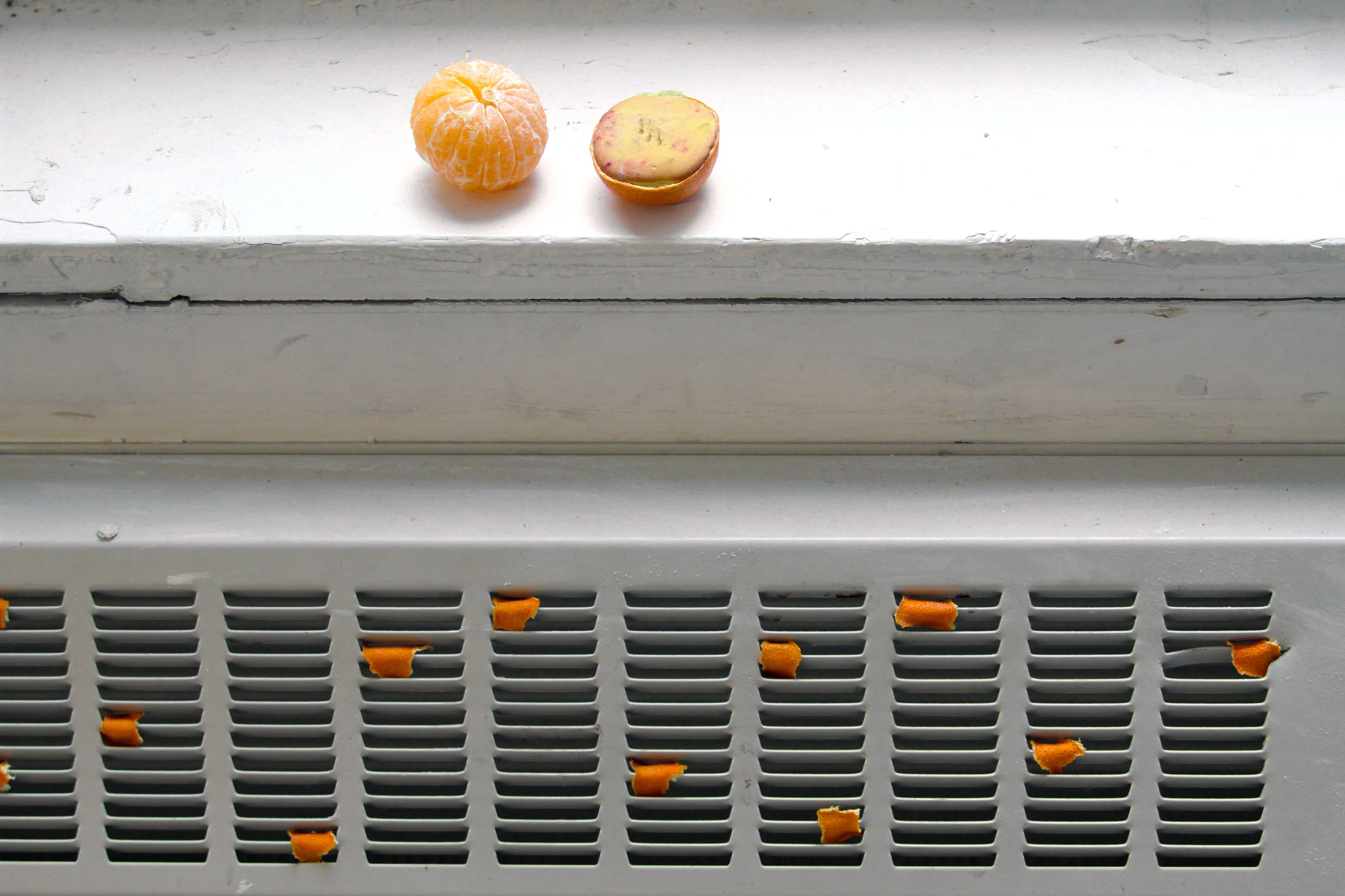 Squeezing Sorrow from an Orange (Installation view), Orange peels, scent, radiator, School of the Art Institute of Chicago, 2017.