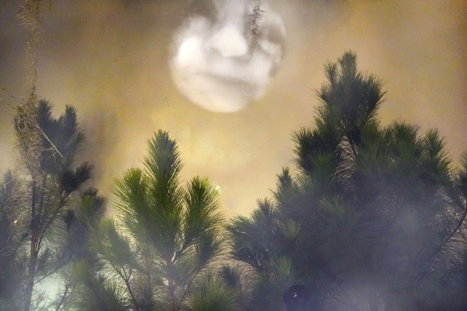 MoonProjection_WMA_2c.jpg