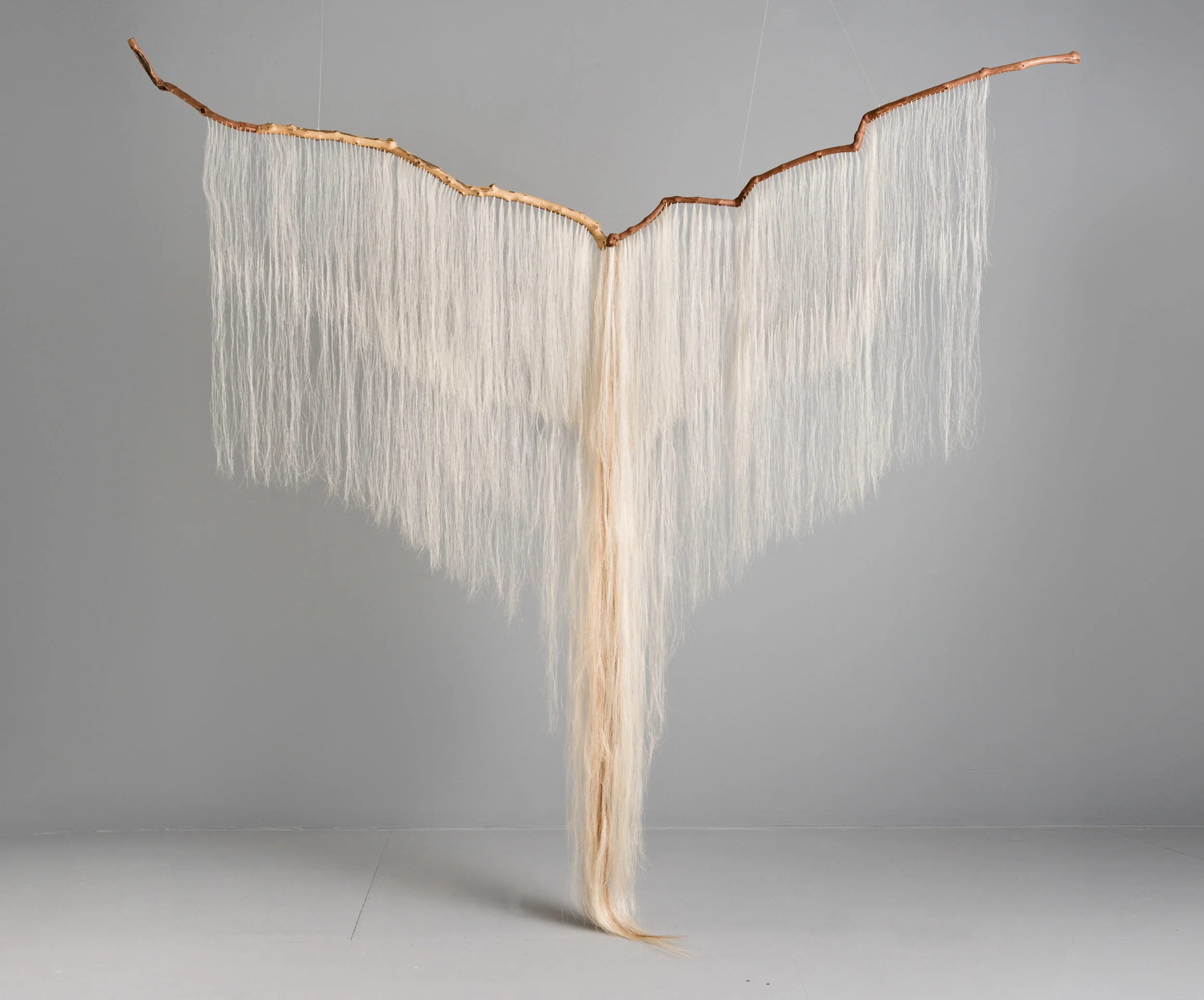 Continuum; grapevine, sycamore, horse hair; 100 x 103 x 12 inches