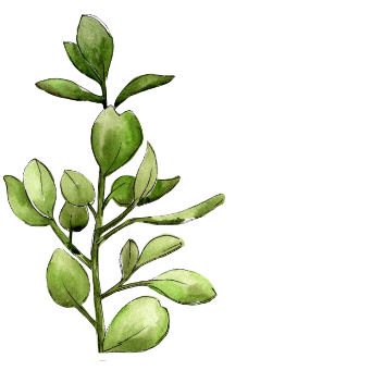 Boxwood Properties, LLC