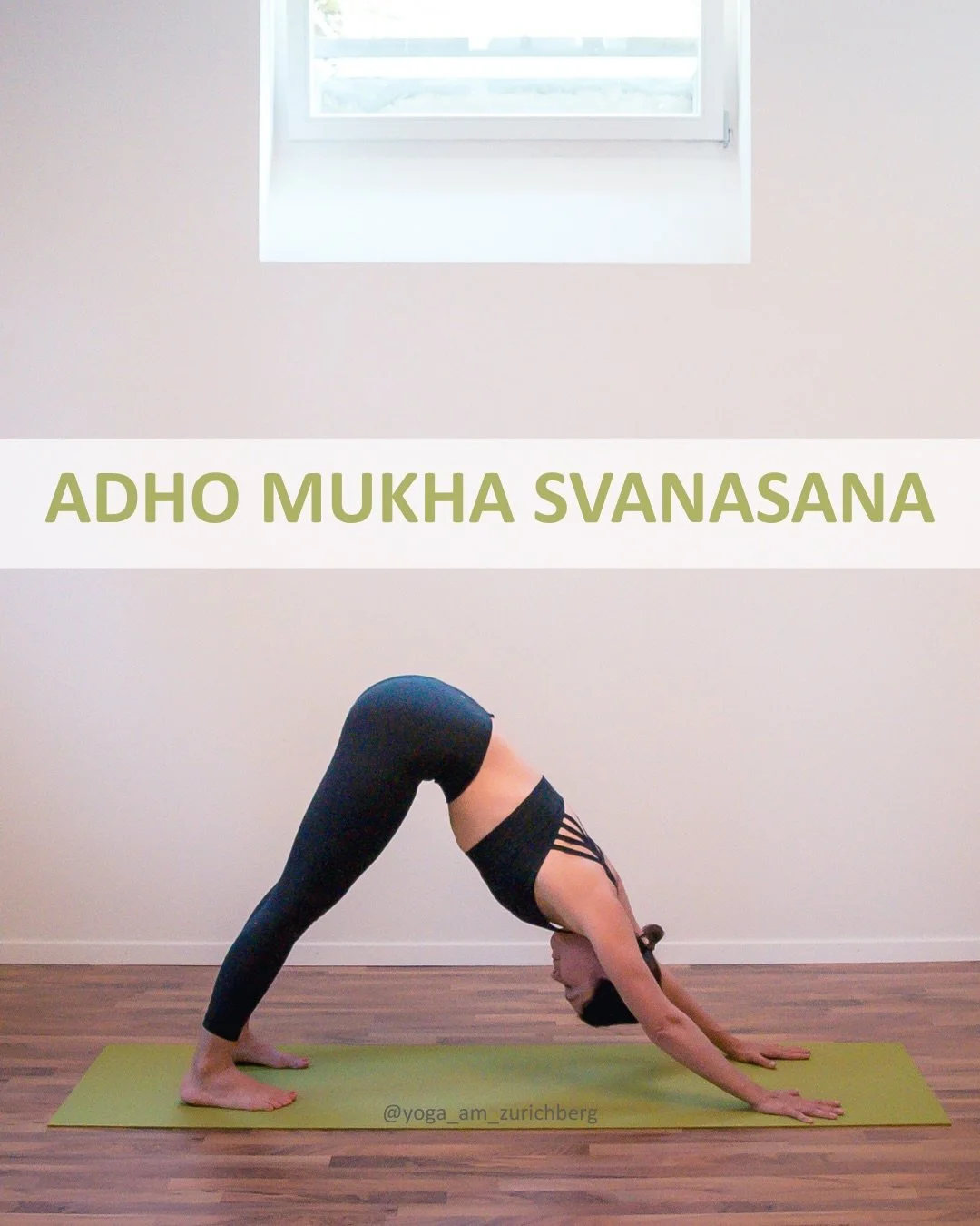 🧘&zwj;♀️ Adho Mukha Śvānāsana &ndash; der herabschauende Hund (eine Haltung f&uuml;r Kraft, L&auml;nge und neue Energie)

Der herabschauende Hund geh&ouml;rt zu den bekanntesten Yoga-Haltungen und verbindet Stabilit&auml;t mit Leichtigkeit. 

W&auml
