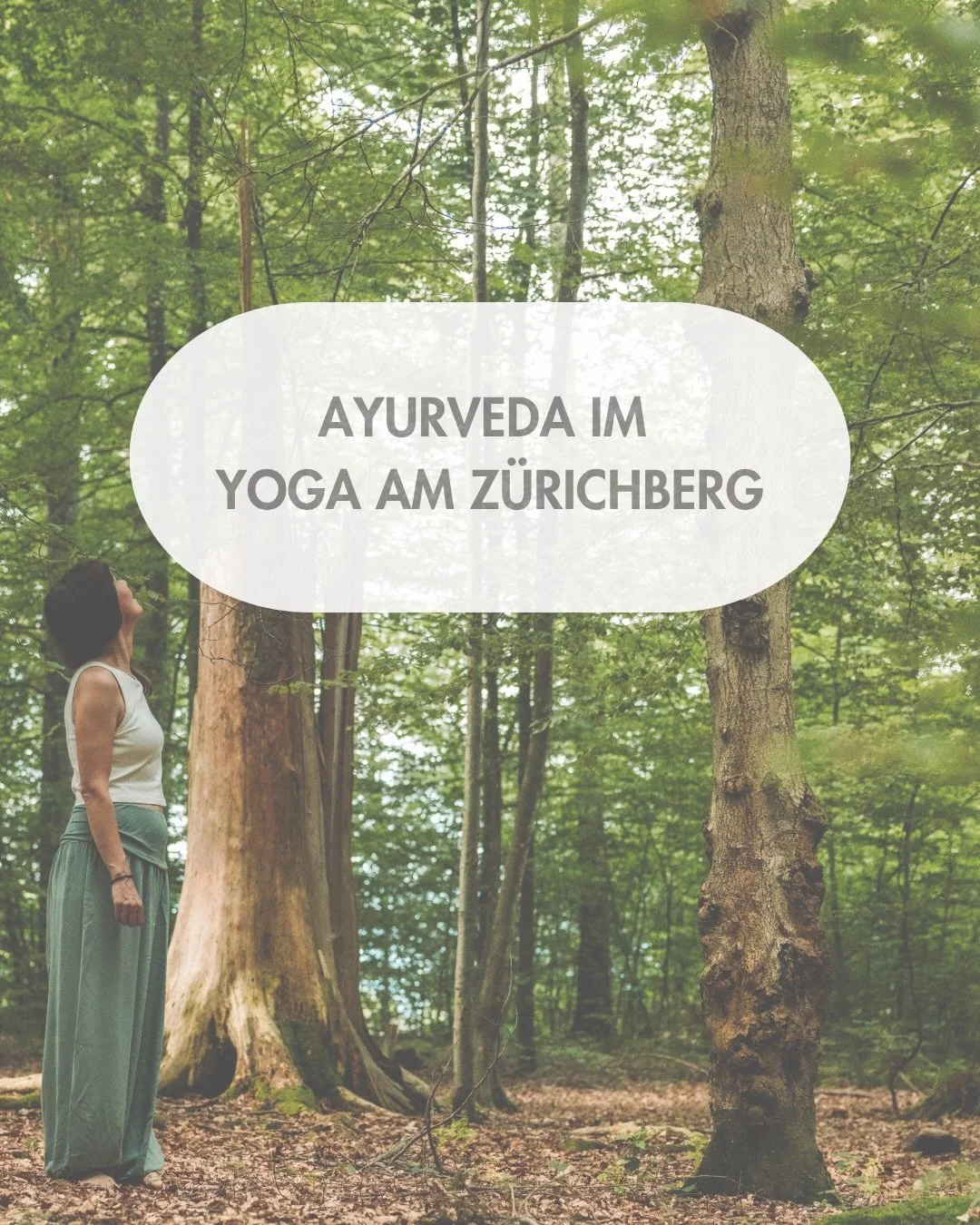 ✨ Ayurveda im Yoga am Z&uuml;richberg ✨

Ayurveda bedeutet f&uuml;r uns mehr als eine jahrtausendealte Gesundheitslehre: Es ist eine Einladung, wieder bewusster auf den eigenen K&ouml;rper zu h&ouml;ren und mehr Balance in den Alltag zu bringen. 🌿

