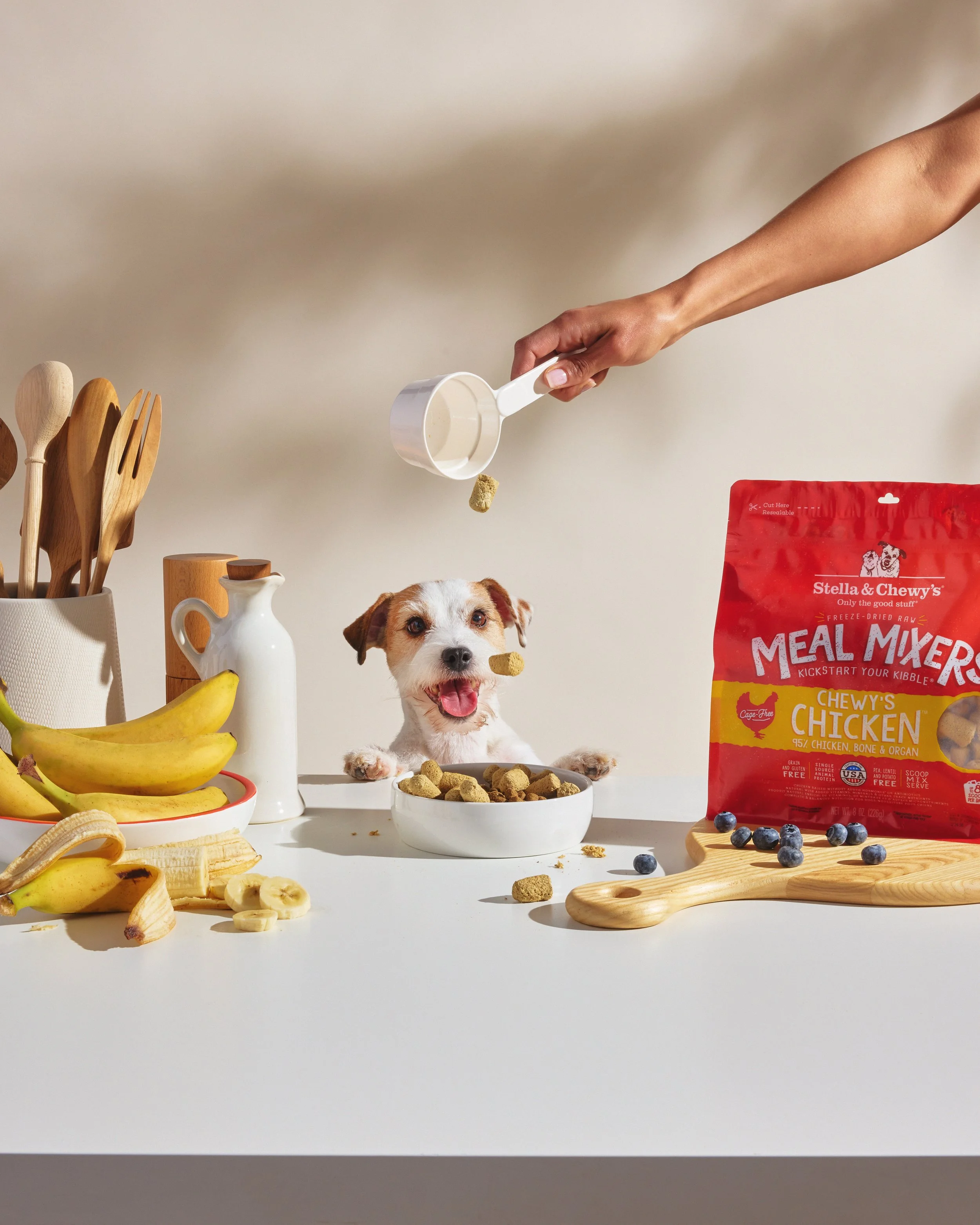 DogMealMixer01_247.jpg