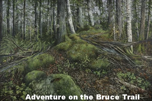 adventure on the bruce trail.jpg