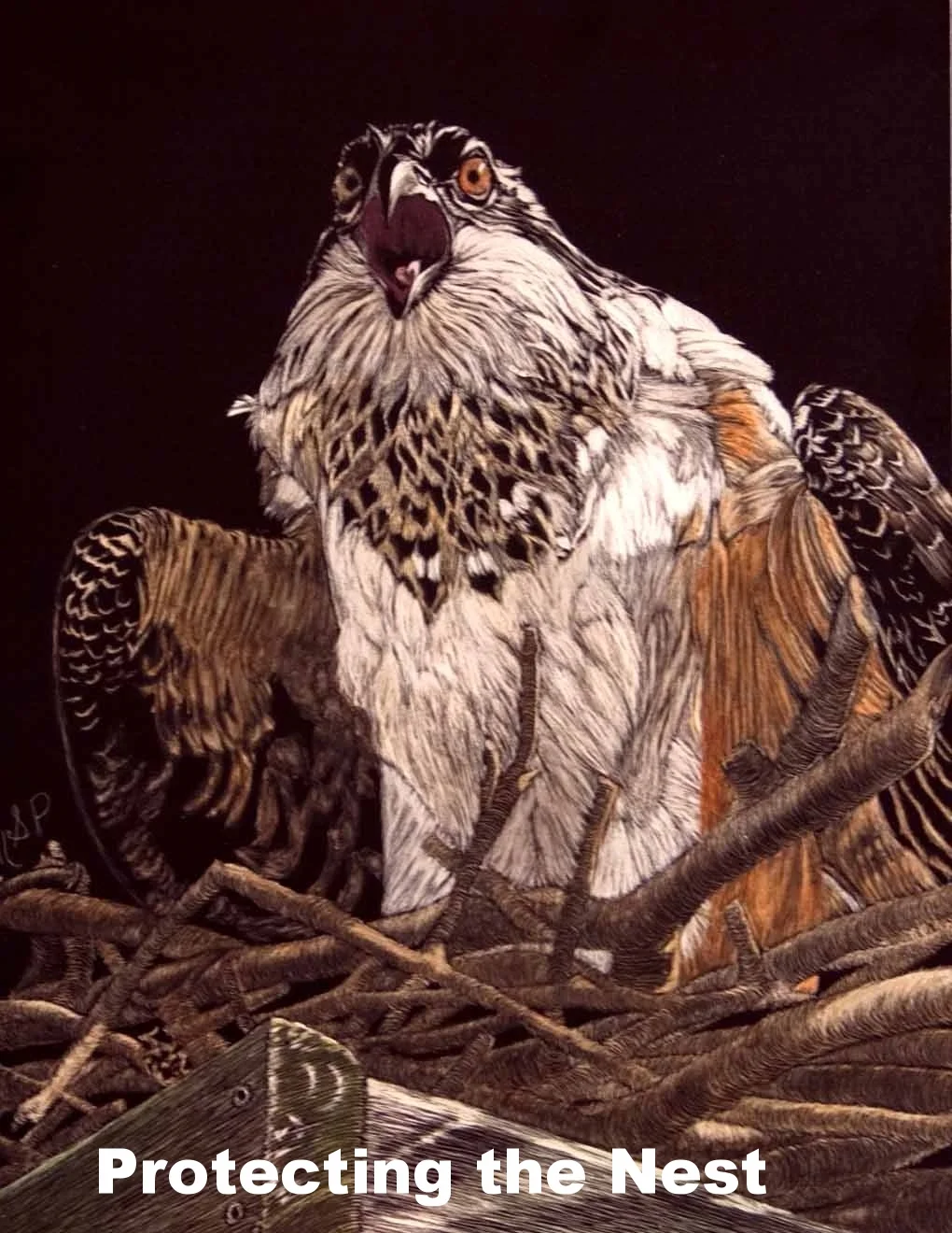 'Protecting the Nest' was accepted into The art of the Animal Kingdom juried show in Bennington Vermont, in 2014. Margaret felt very honoured to be a part of this prestigious show.