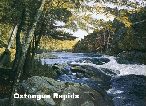 oxtongue_em.jpg