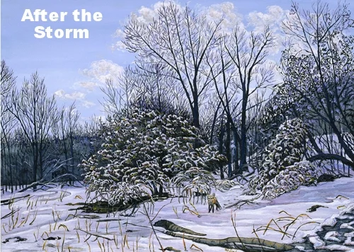 After The Storm_em.jpg