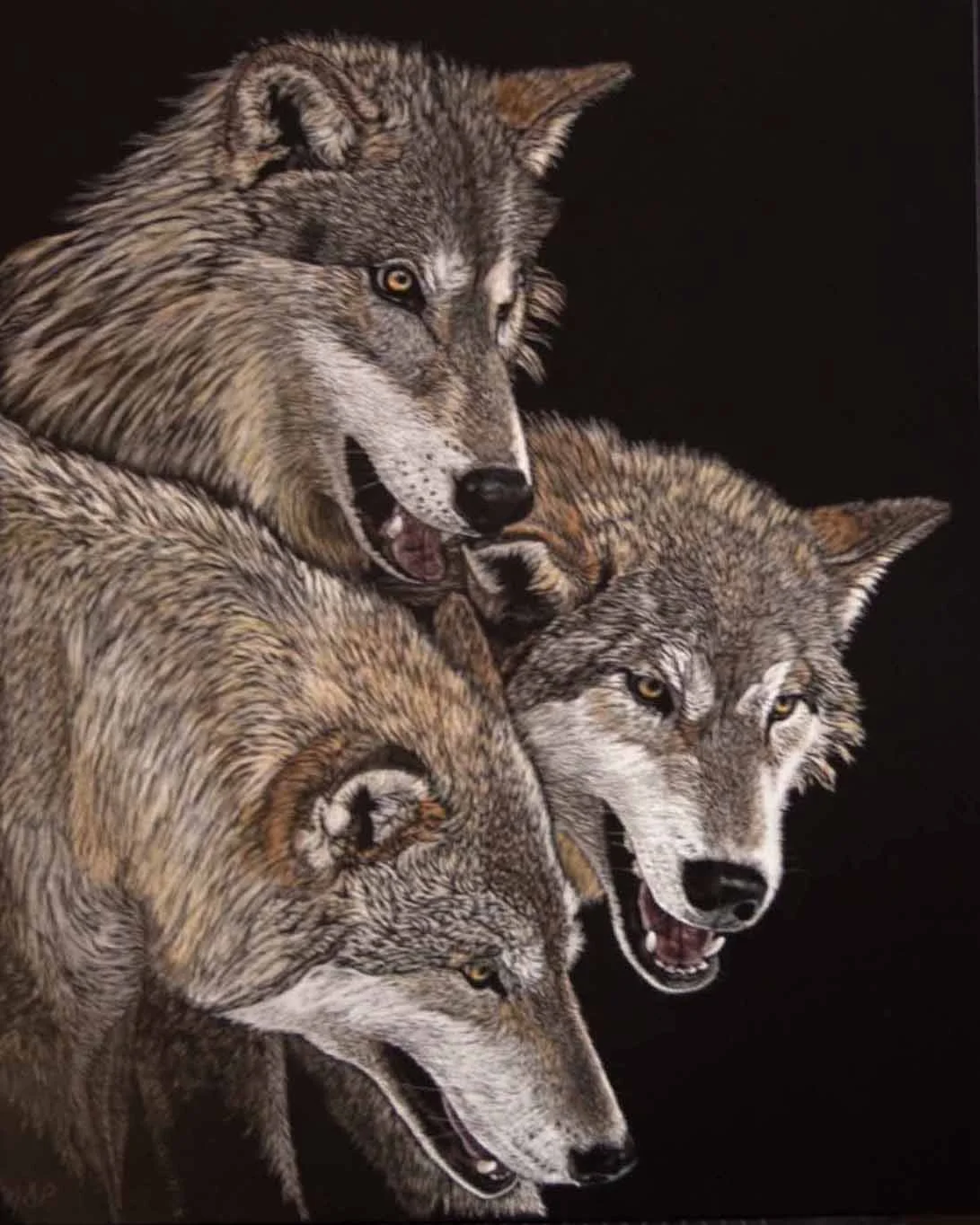 "The Pack"