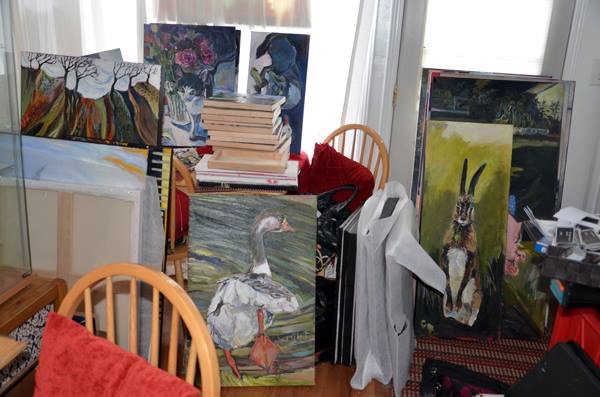  Janice is getting ready for an exhibition. 