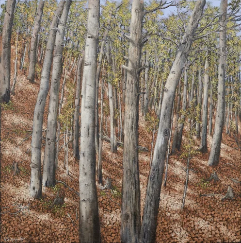 “Shapes and Shadows Hockley Valley”, 30” by 30”