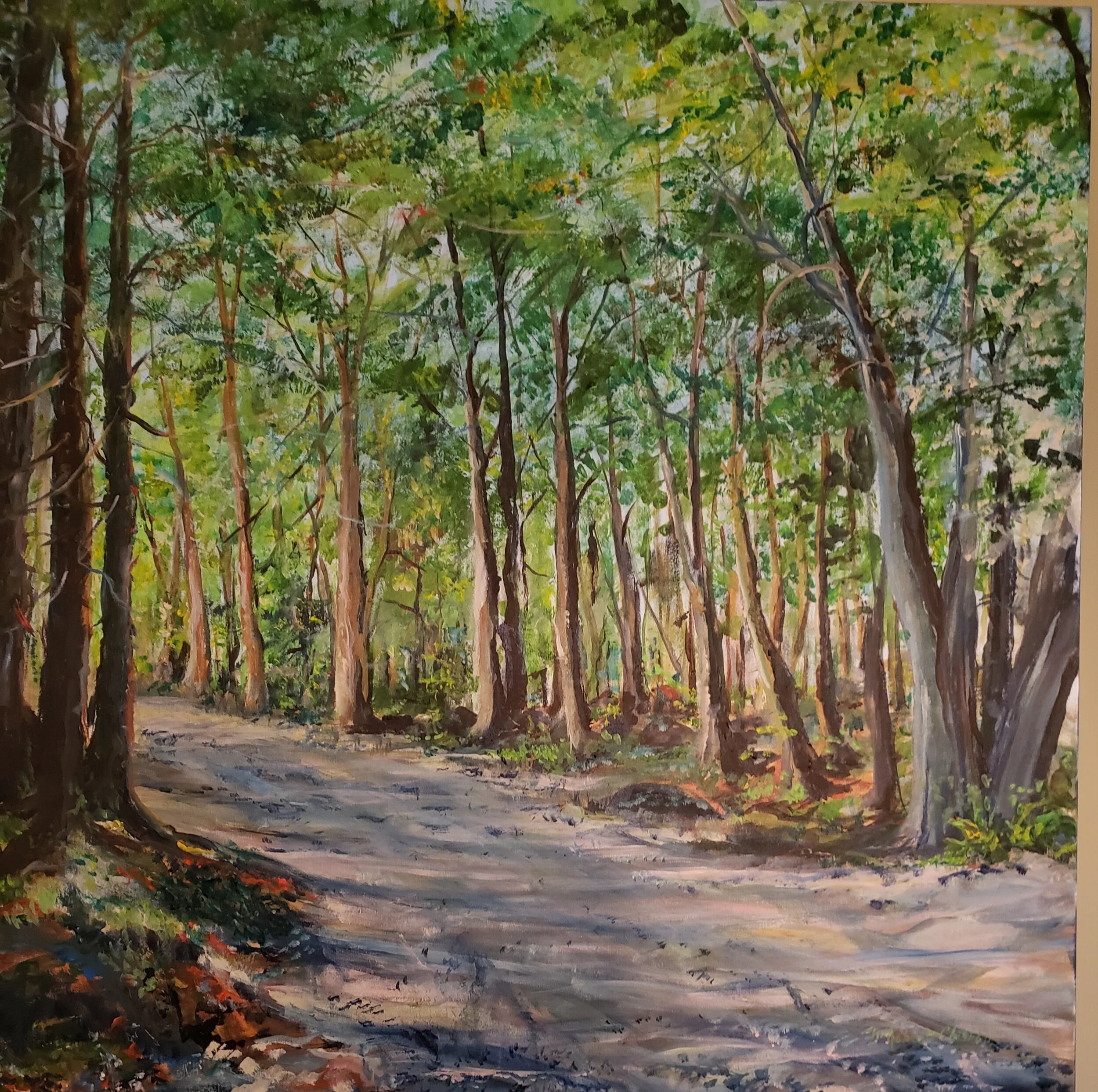 Beautiful country lane way near the summer home of Artist Robert Chisholm.