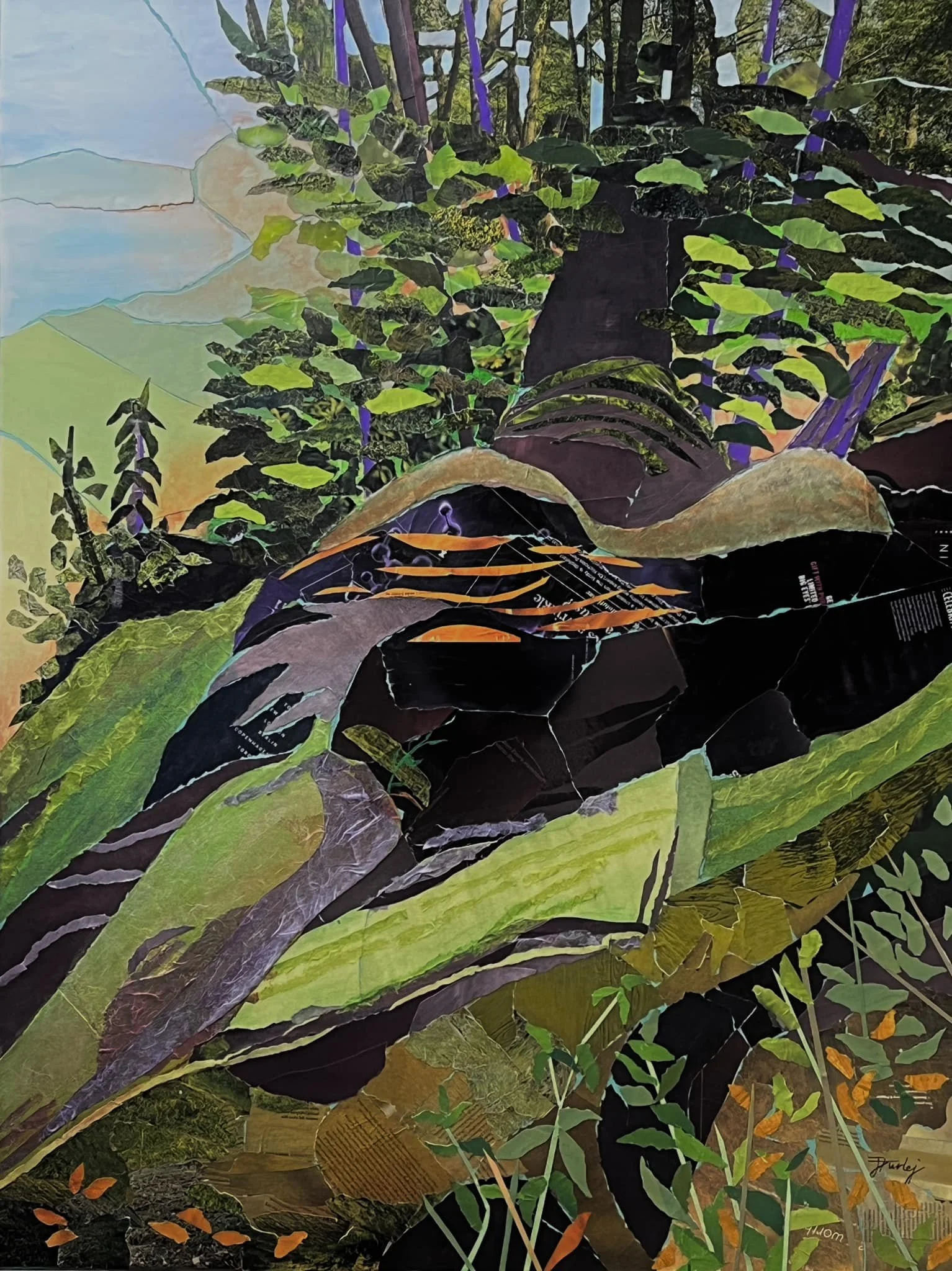 “Secret Forest”, 