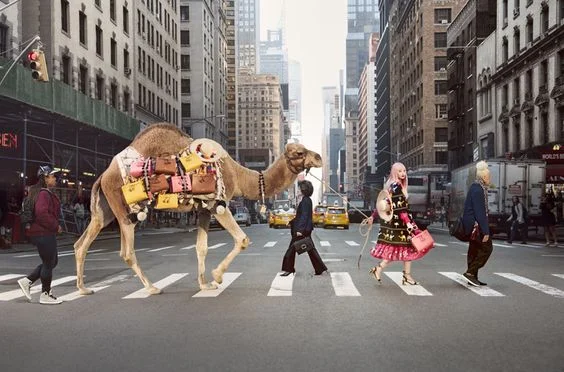 Kate Spade New York, SS’17 www.katespade.com/