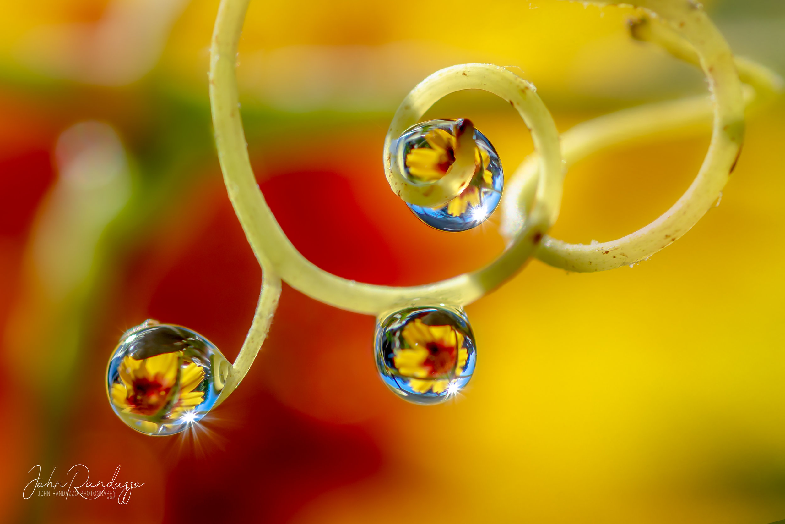 DSC_1513-Edit.jpg