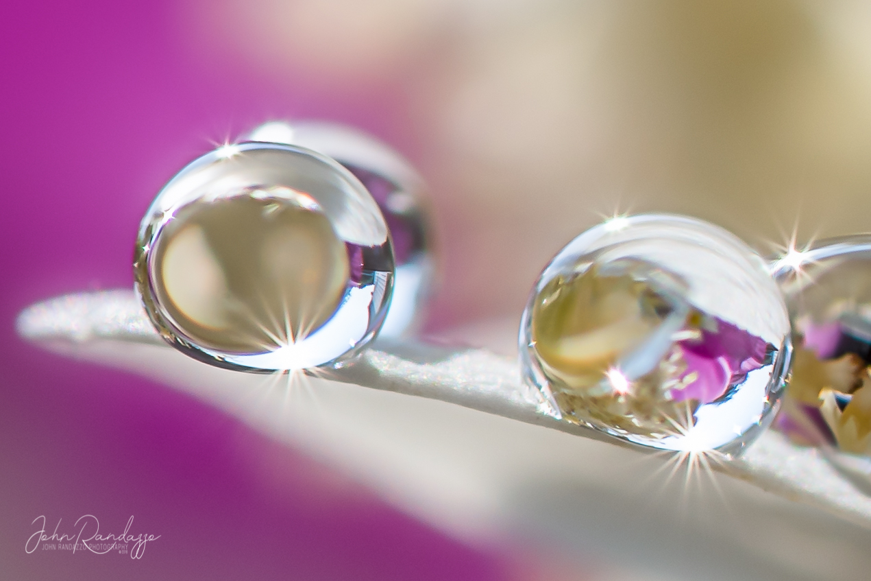 DSC_1812-Edit-2.jpg