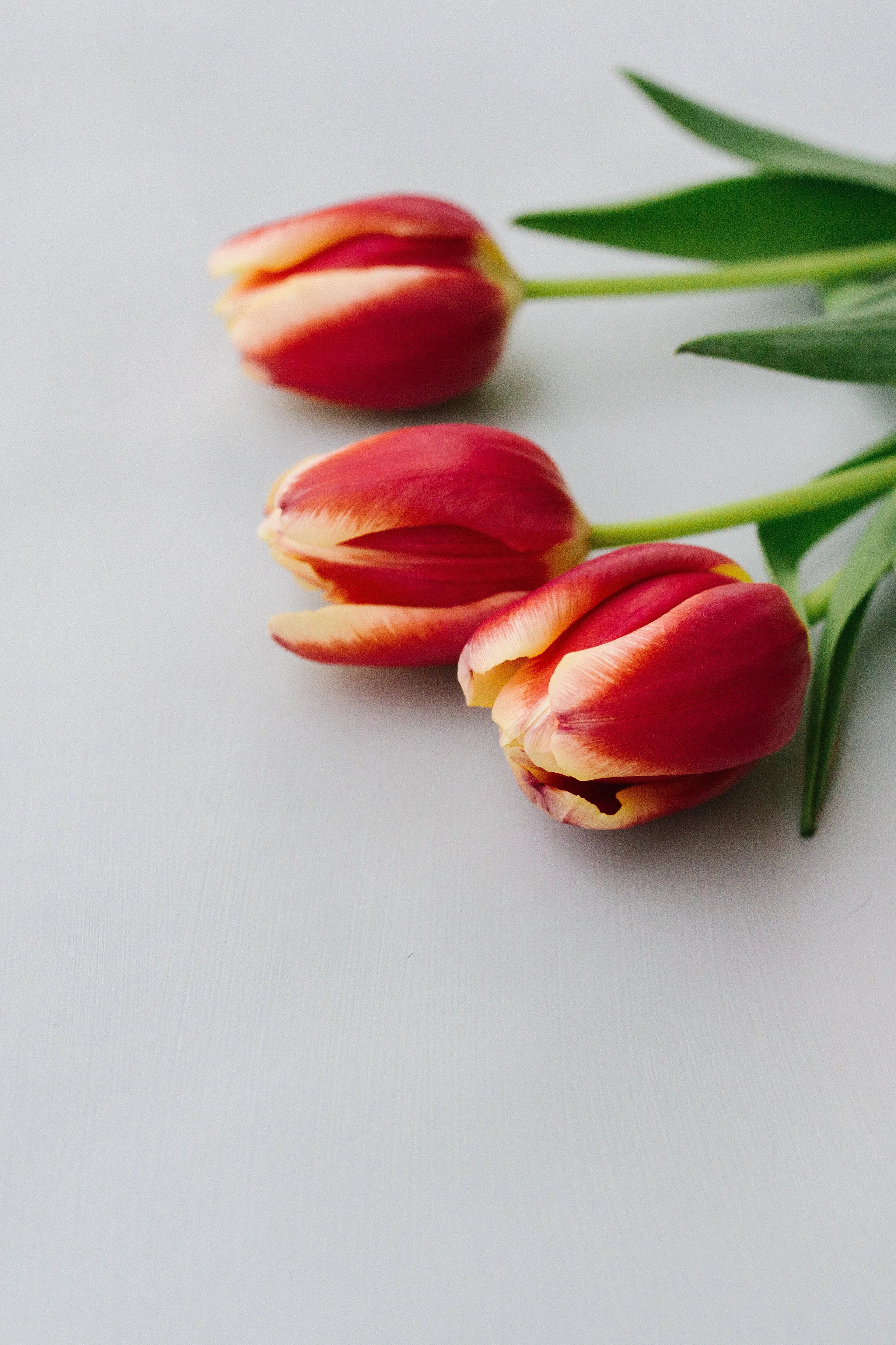 edit verticle-2141.JPG