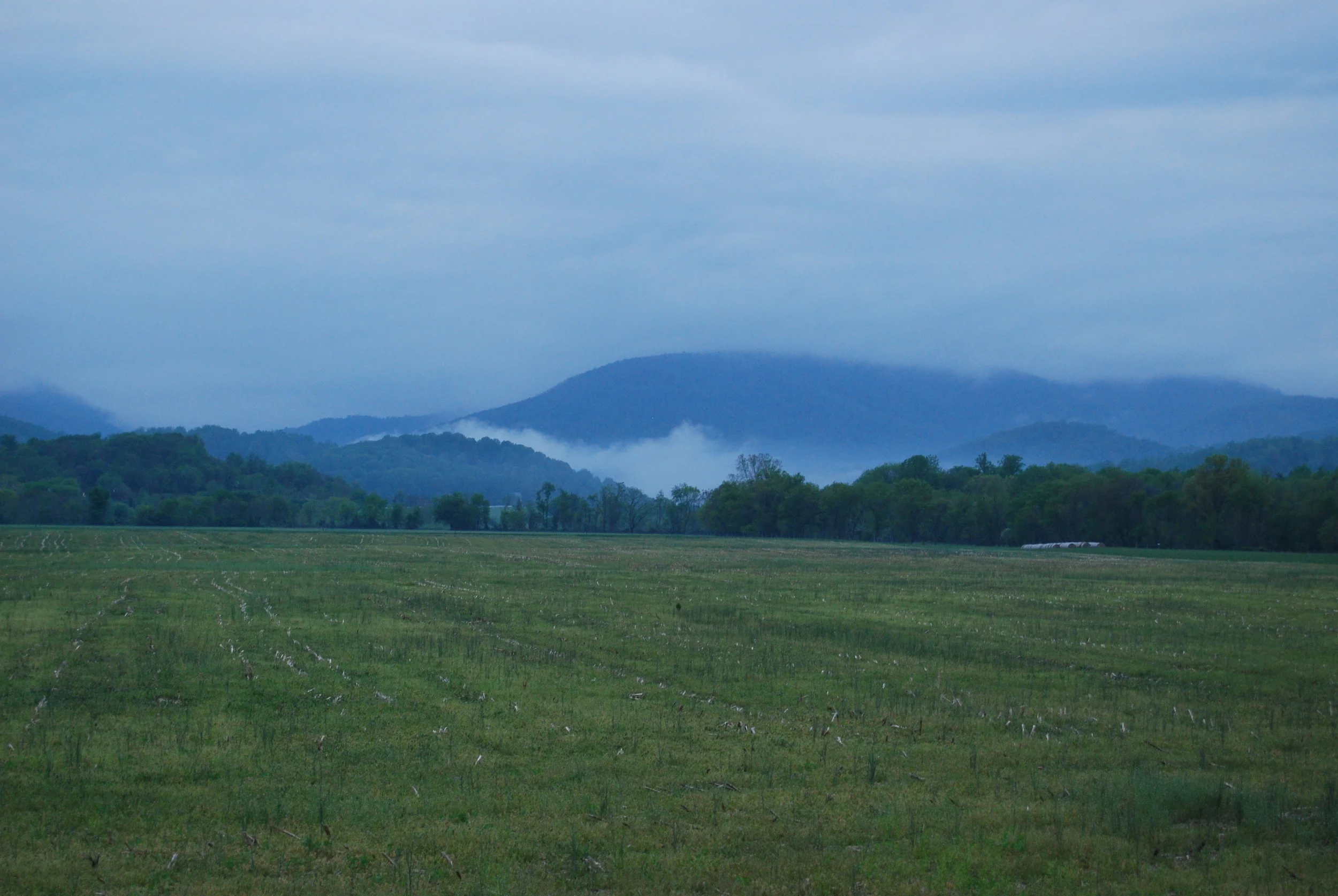 wolfstone kilt company