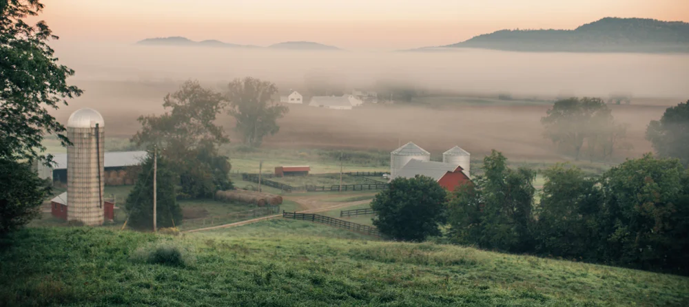 farmscene.jpg